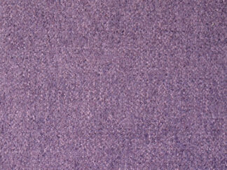New York Violet