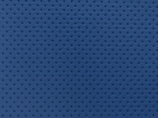 AUTO-2539 R.Blue