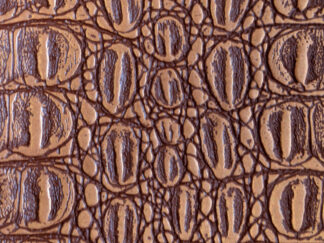 KVS218 Bronze