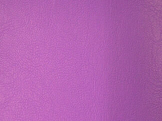 Cruise E Purple