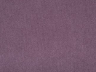 DREAM - PLUM