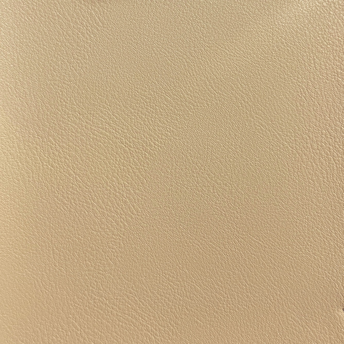 Everest - Beige